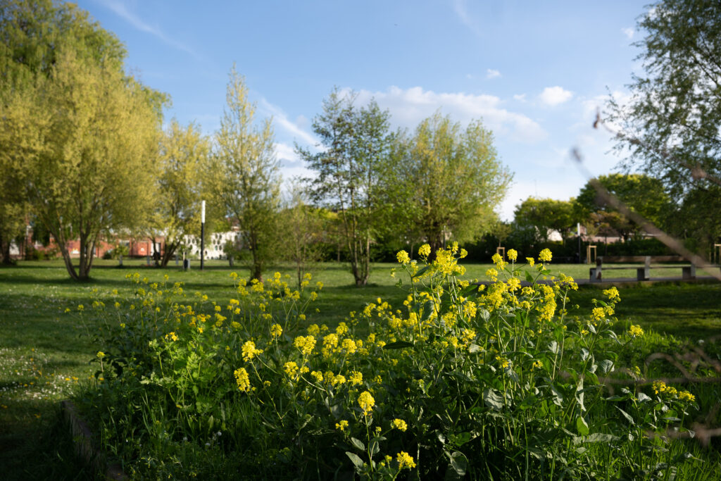 Jardin des Mères